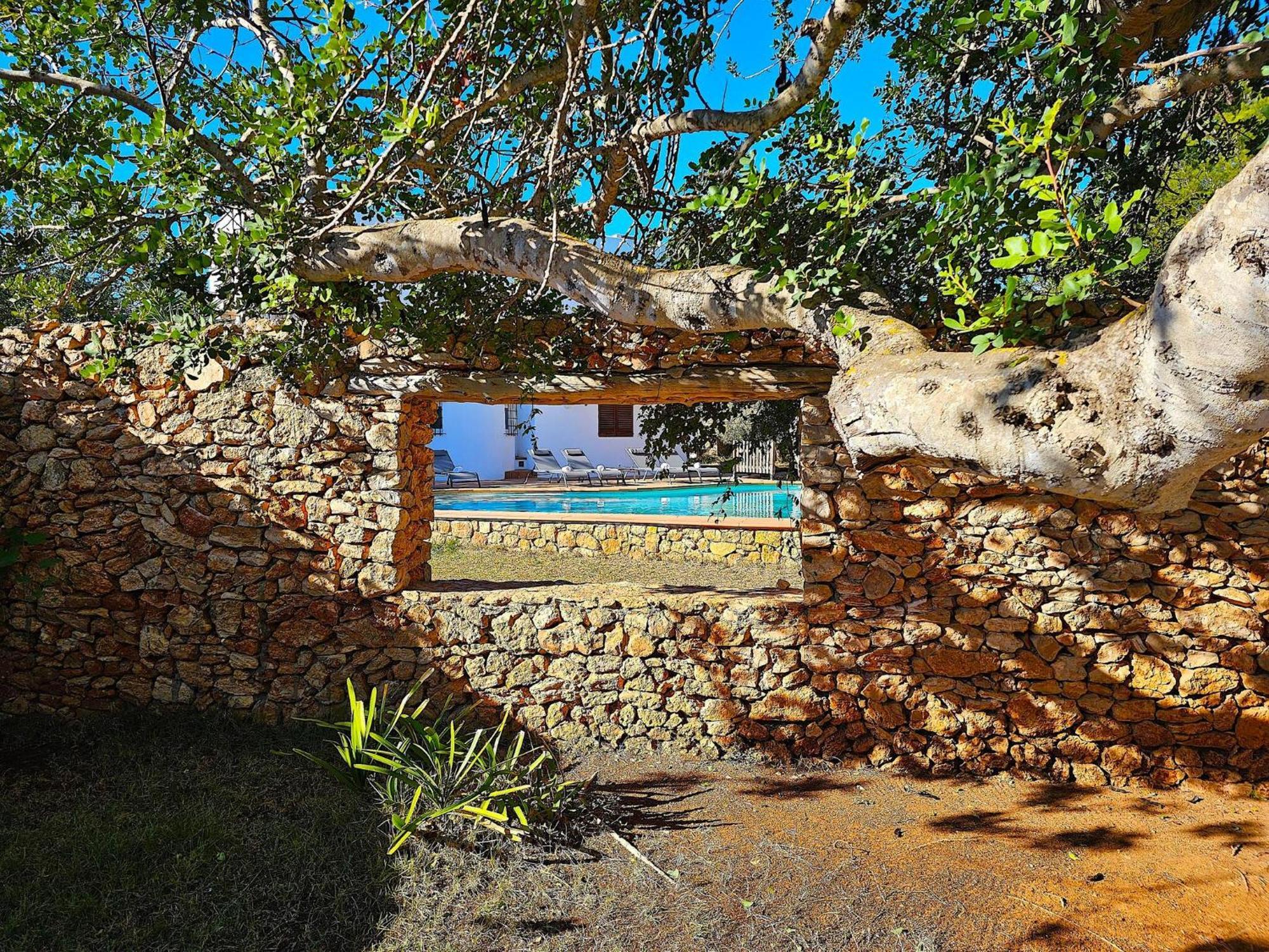 Cala Jondal "Can Amanaya" San José Esterno foto