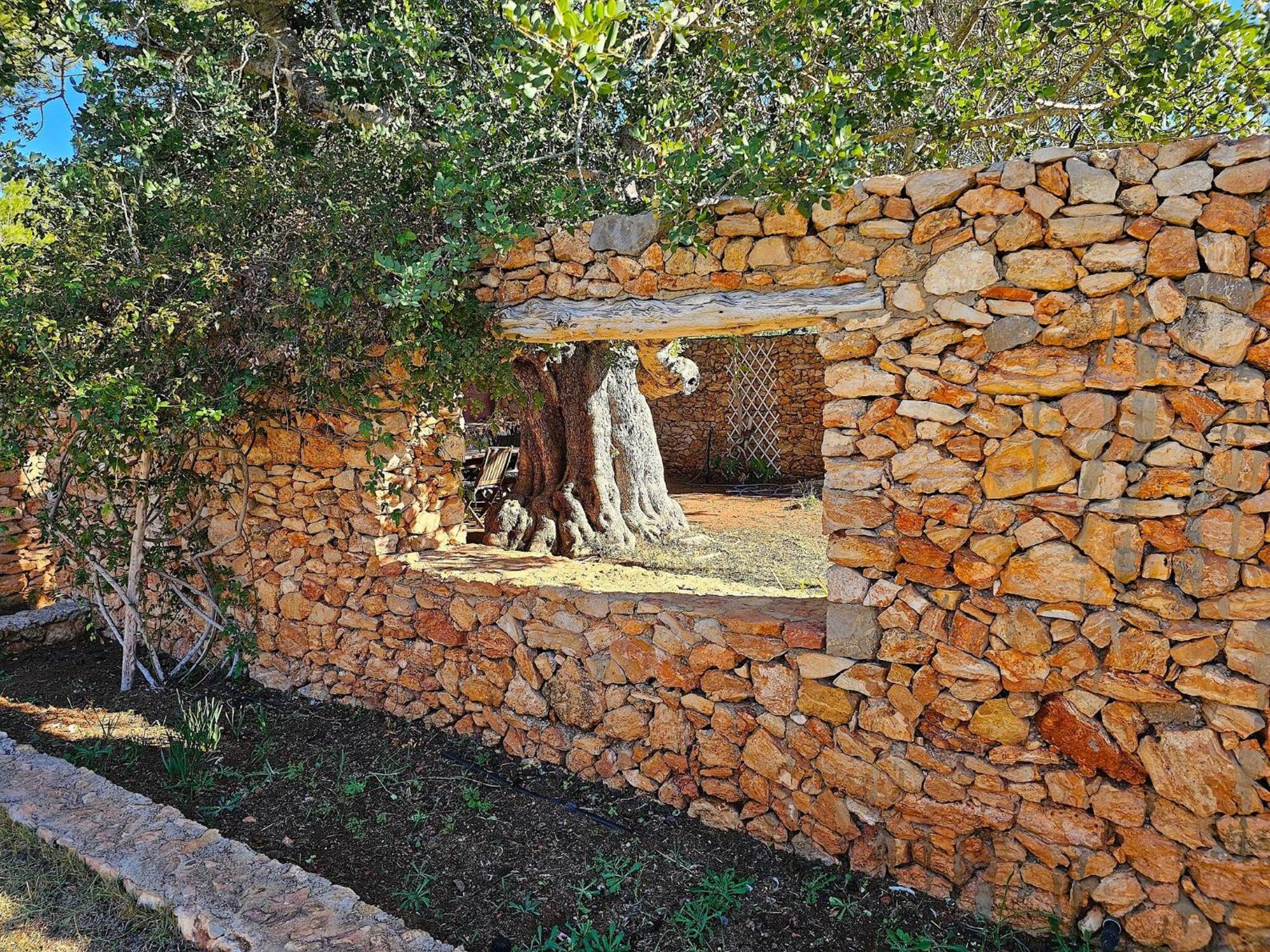 Cala Jondal "Can Amanaya" San José Esterno foto